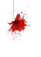 ePub Der Duft der Farben